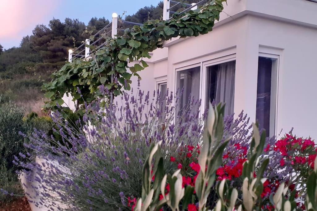 Vis - Luxury Holiday Villa With Swimming Pool Kültér fotó