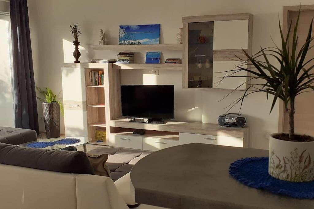 Vis - Luxury Holiday Villa With Swimming Pool Kültér fotó